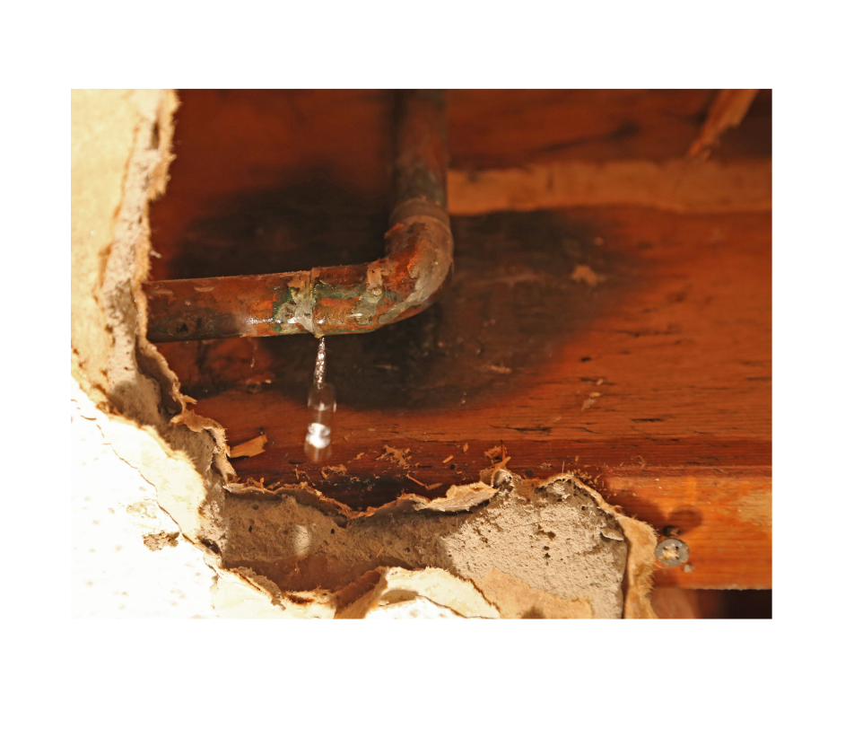 Water Damage Restoration